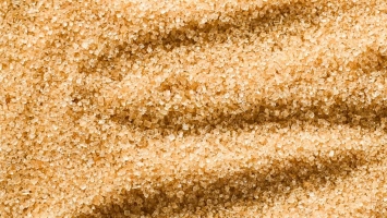 Rohrzucker