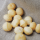 Macadamia Nüsse