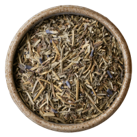 Bio Kräuter der Provence