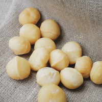 Macadamia Nüsse 1kg
