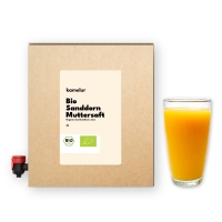 Bio Sanddornsaft naturtrüb 3L