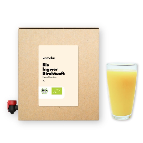 Bio Ingwersaft 3L