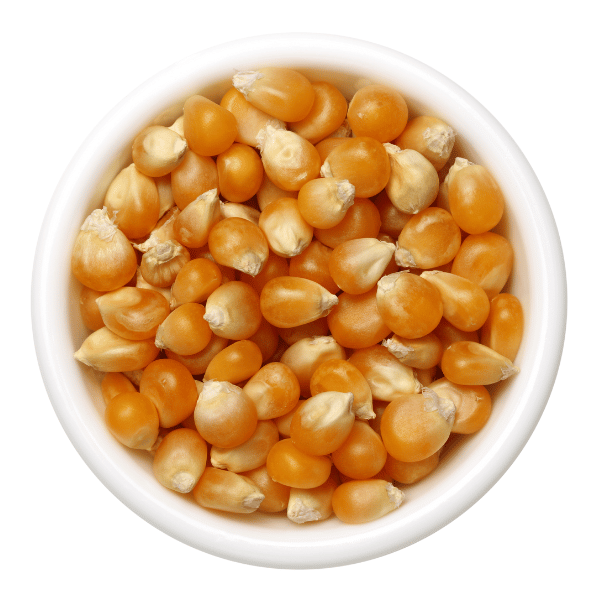 Bio Popcorn Mais