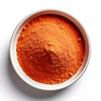 Bio Tomatenpulver sprühgetrocknet
